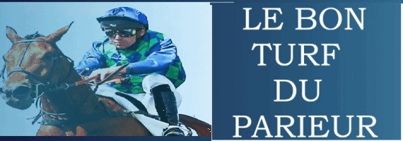 Logo Lebonturfduparieur